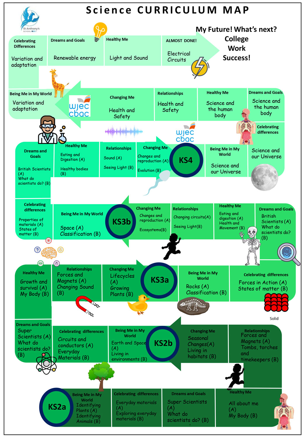 Science-Curriculum-Pathway